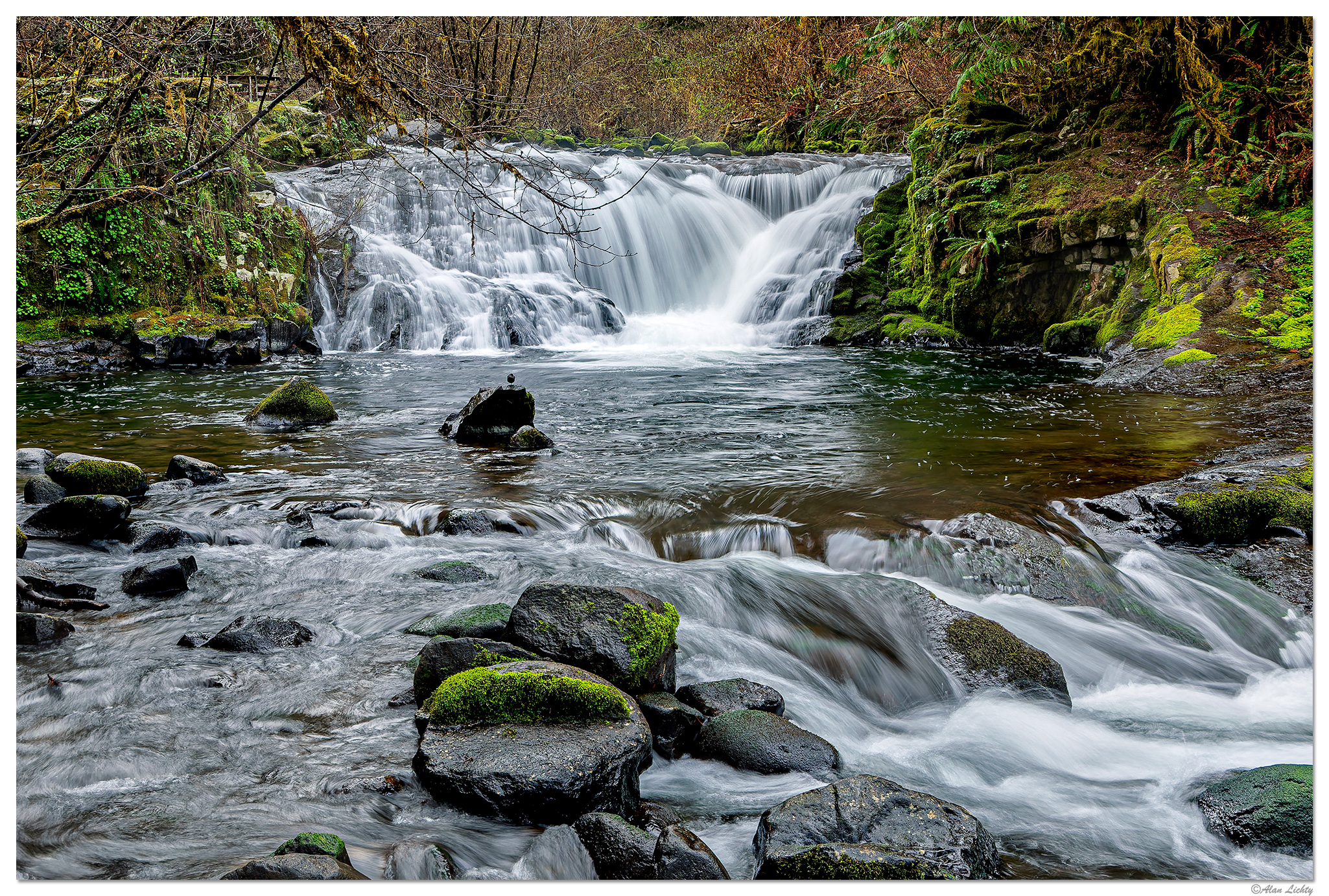 C5D4_SCSpringFlow032825.jpg