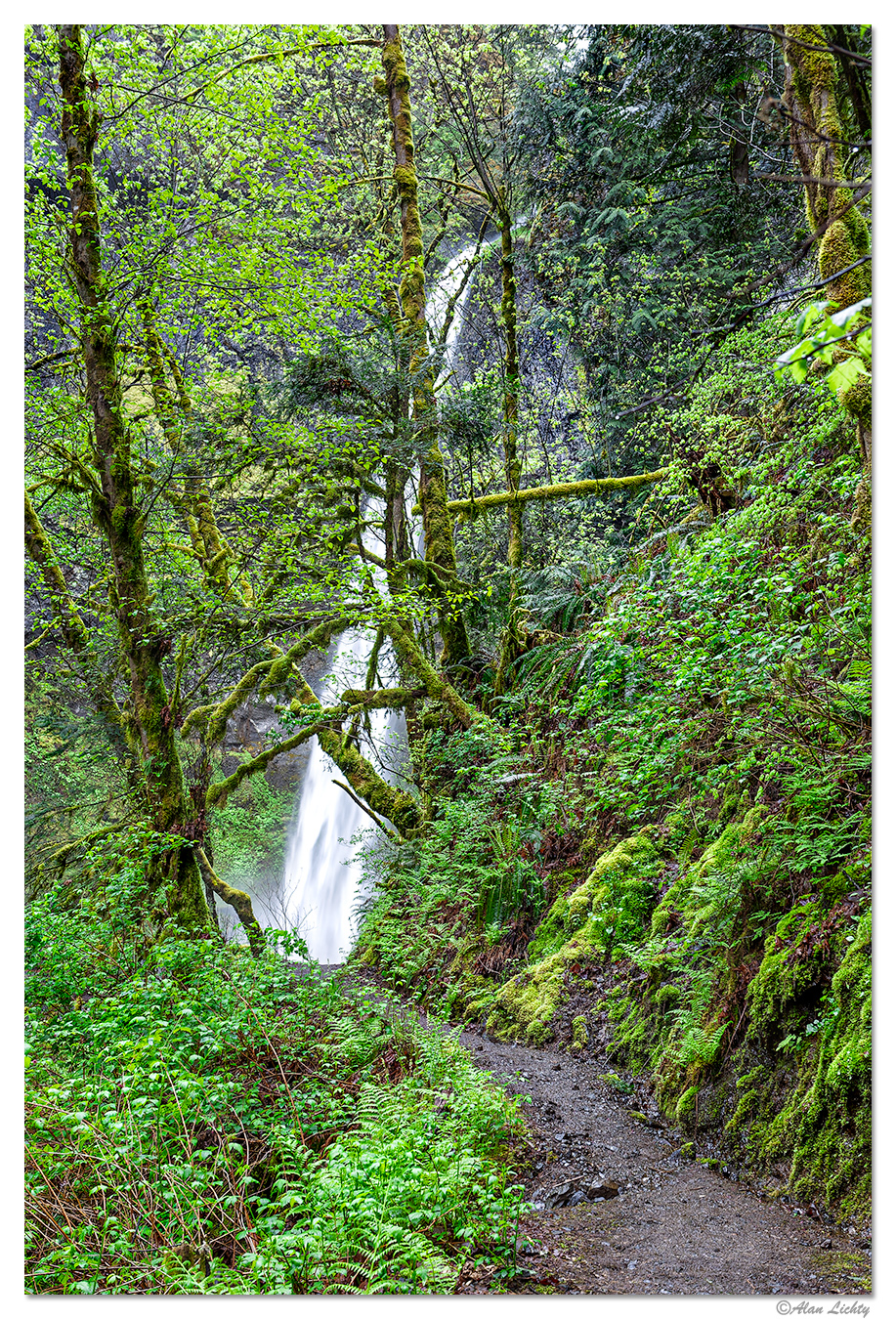C5D_ElowahOld051108.jpg