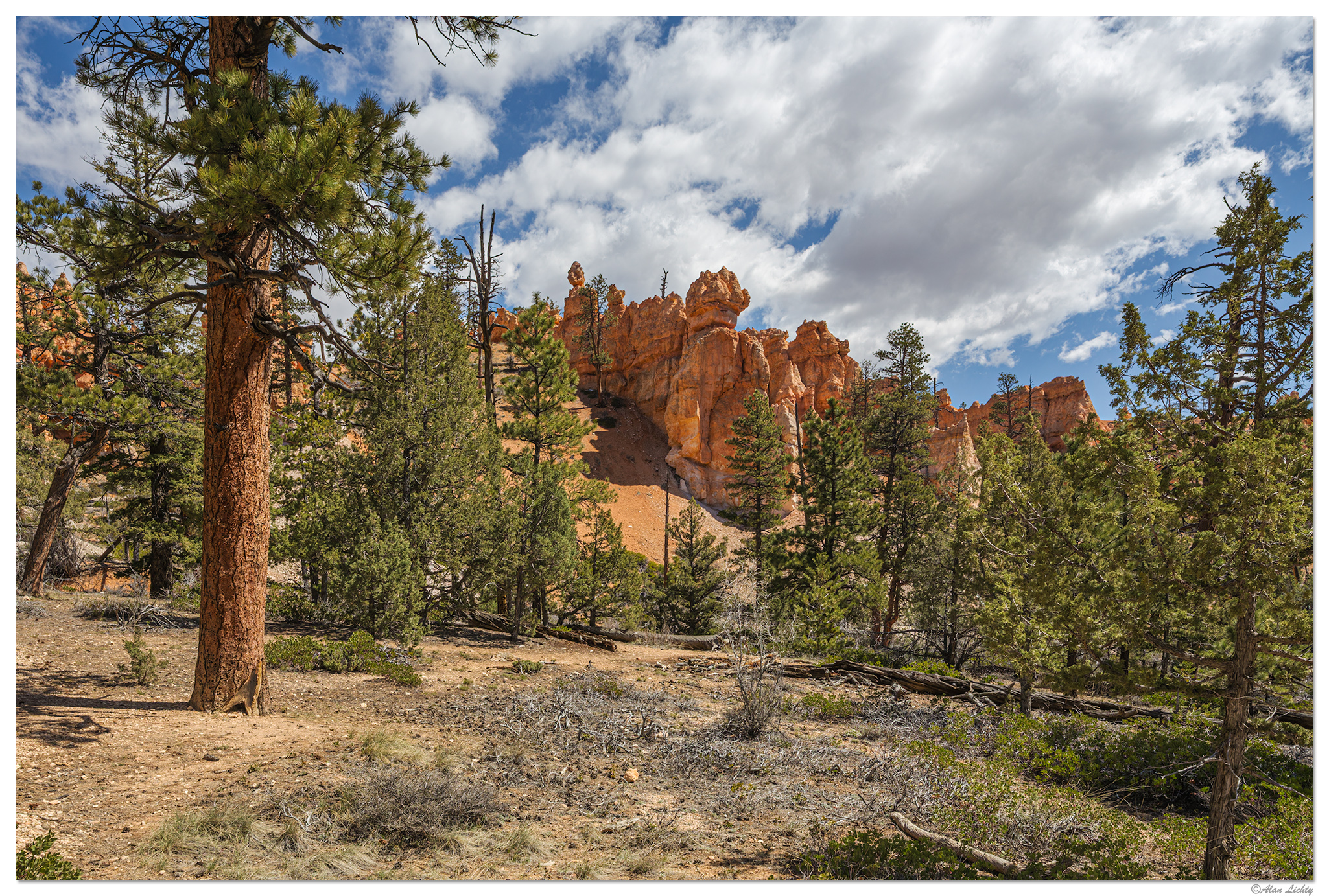 C6D_BryceTrails041815.jpg