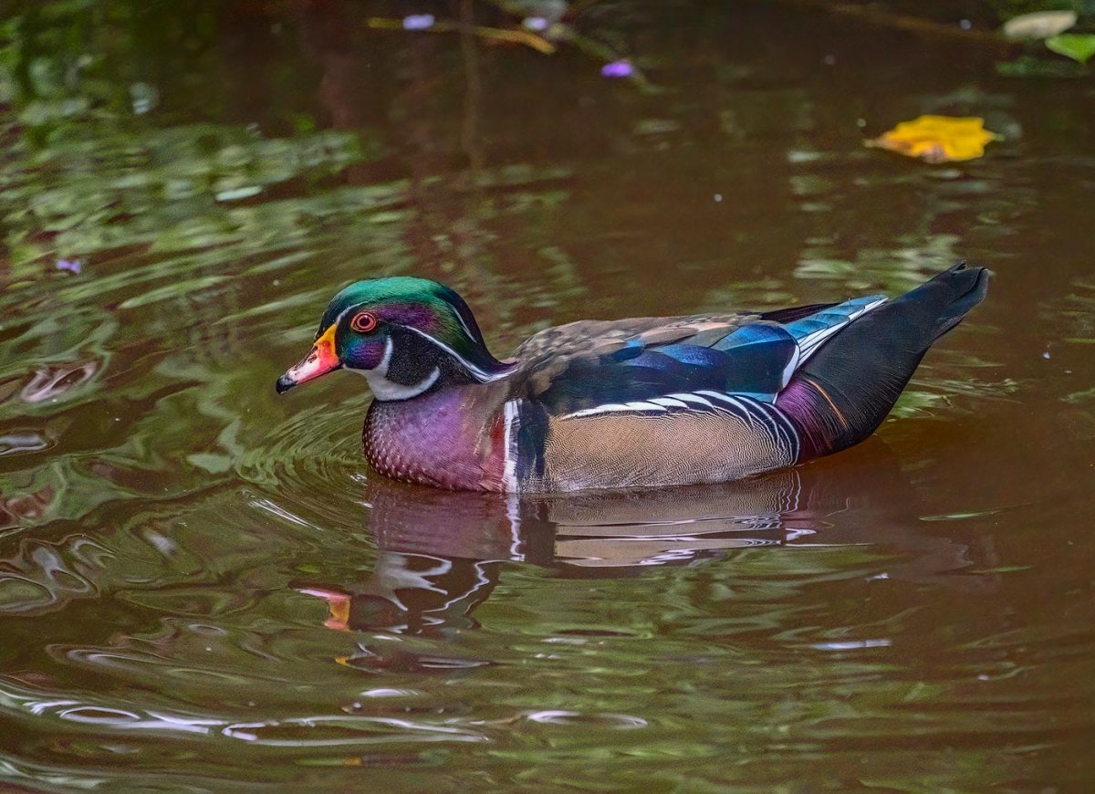 CA01508A-82CA-49A6-B462-D8E87A50AB2F.jpeg