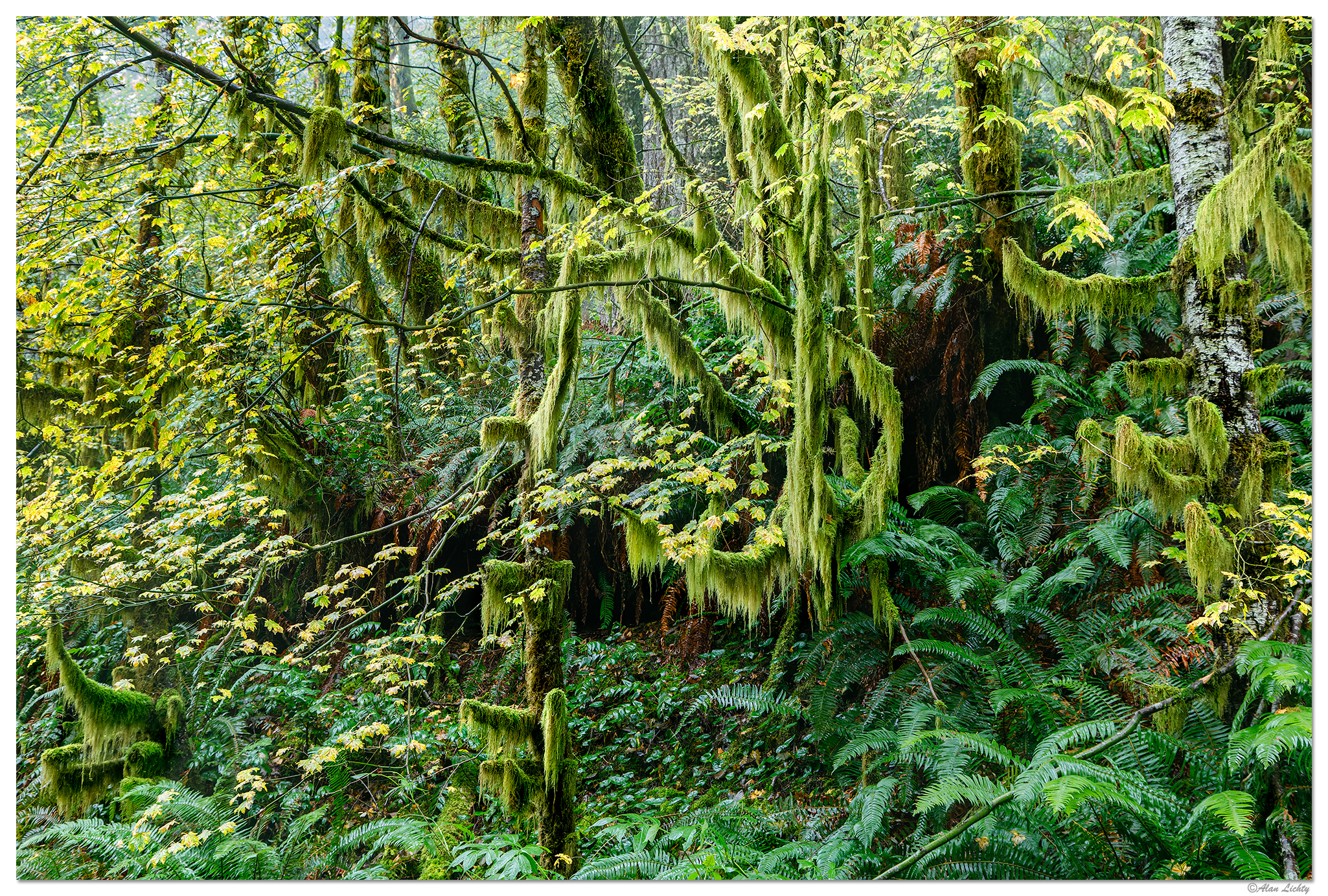 CapeCreekHeadlands.jpg