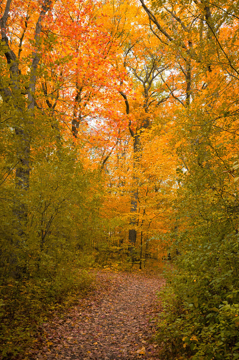 Carver Park 101223-19.jpg