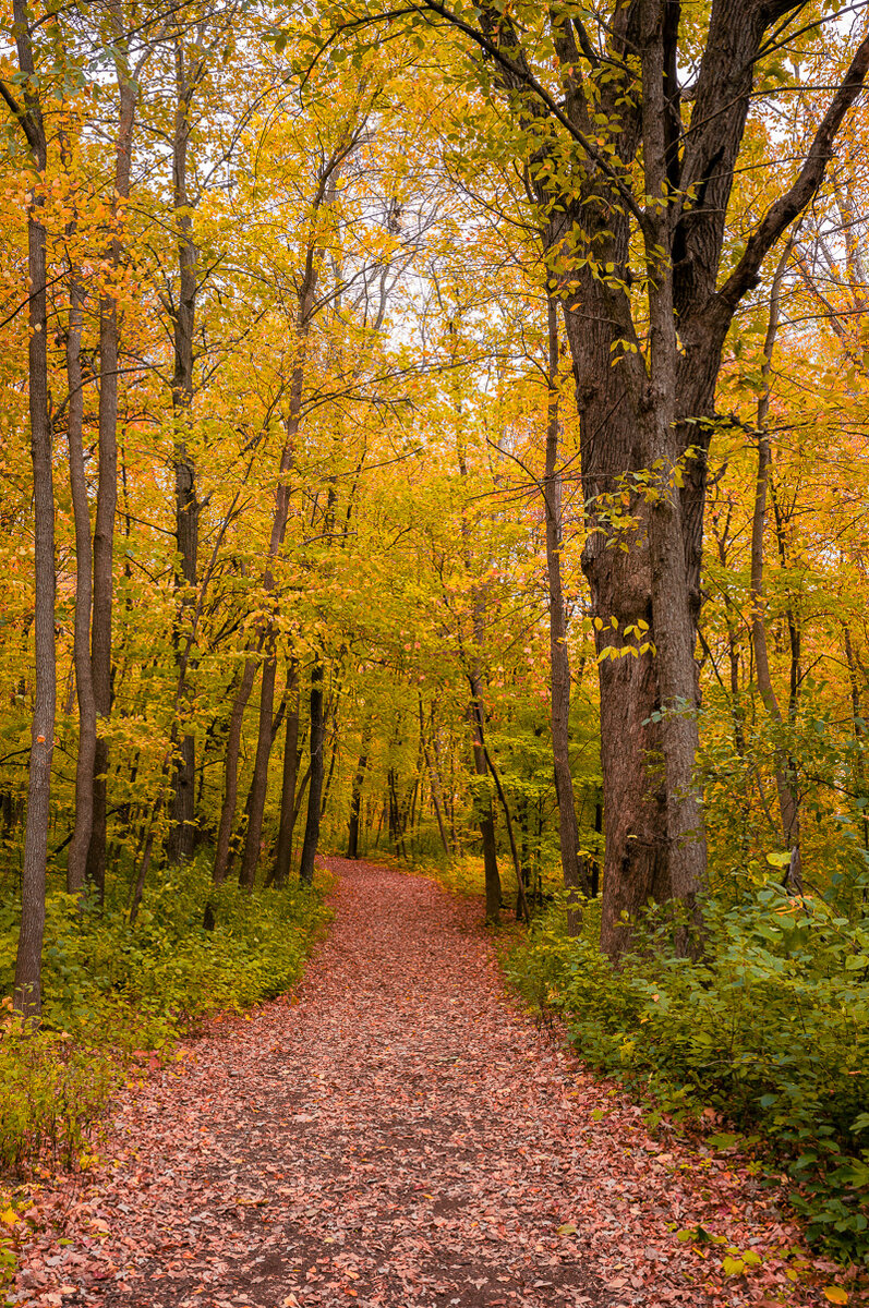 Carver Park 101223-25.jpg