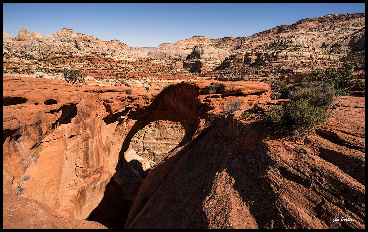 Casidy-Arch_203.jpg