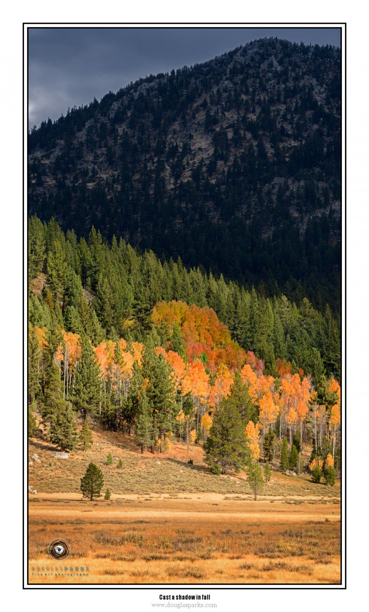 Cast a shadow in fall.jpg