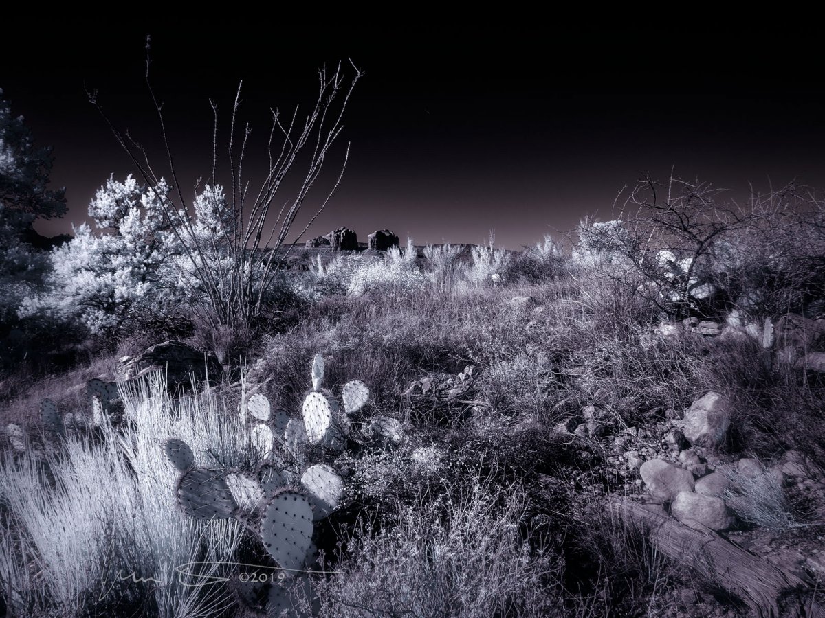 Cathedral-Rock-from-Chapel-Trail-Infrared.jpg