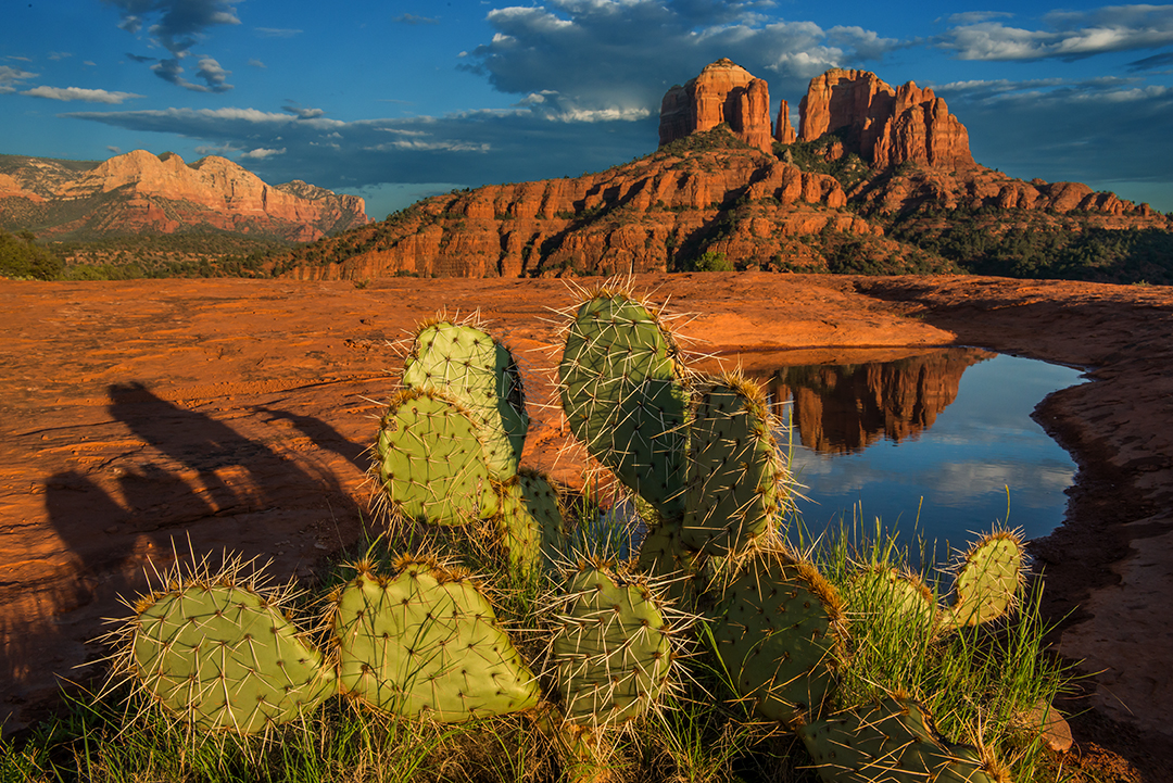 Cathedral rocks.jpg