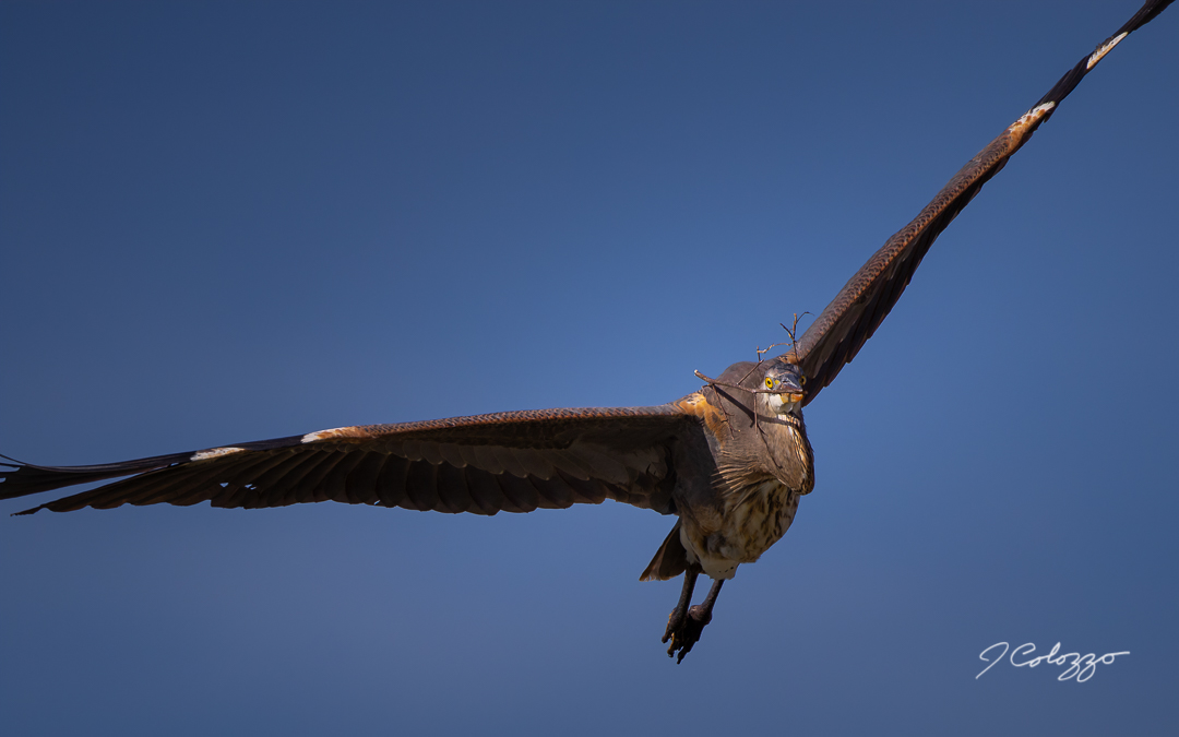 CD0A7998-Edit.jpg