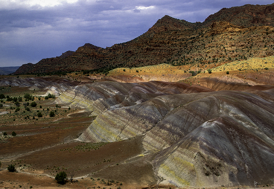 Chinile Formation on the Paria Plateau.jpg