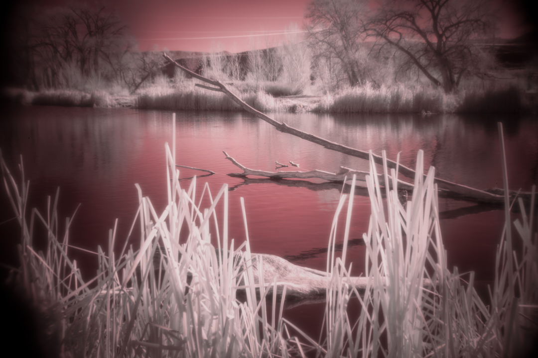 Chipeta-Pond---1.1.jpg