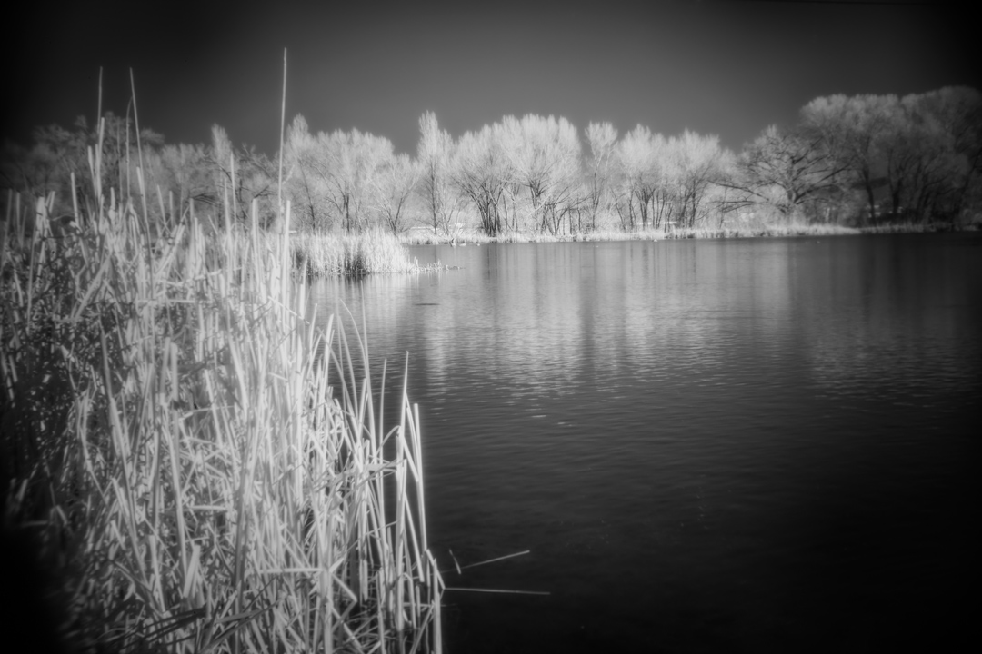 Chipeta-Pond---2.1.jpg