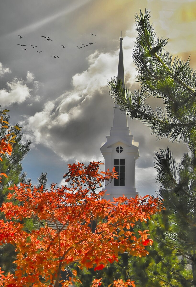 Church Steeple With Fall Color .jpg