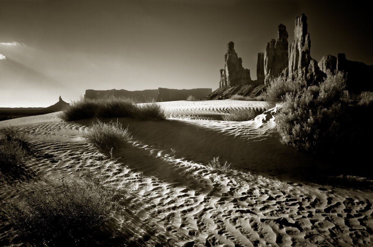 Cobin-YeiBlChei-7665-GCSepia1620pp_001 sharp.jpg