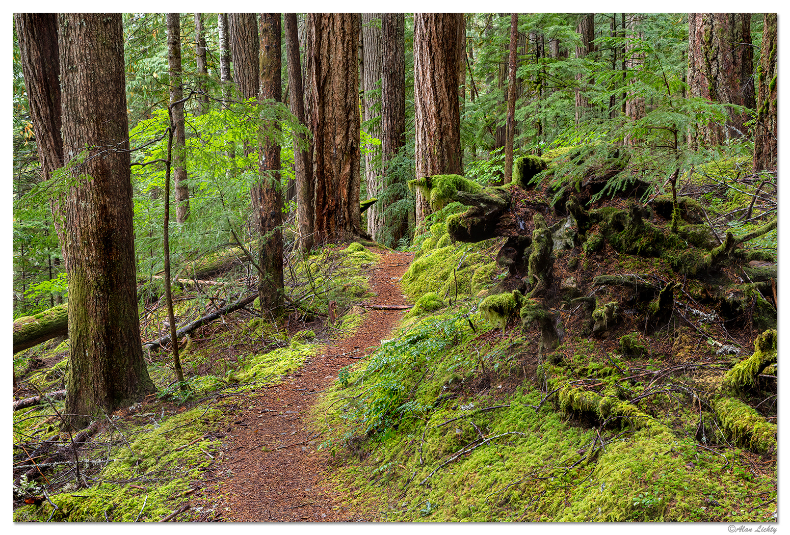 ColonialCreekTrail2.jpg
