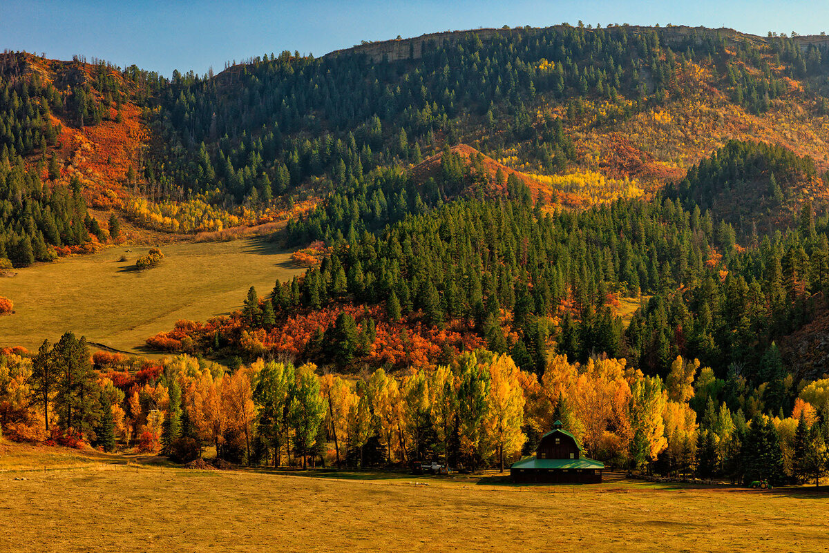 Colorado Color | Focal World