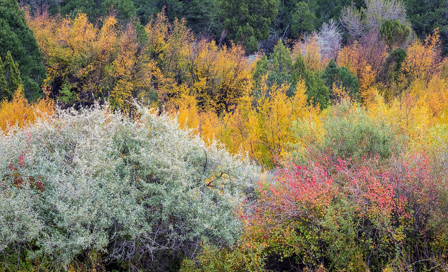 Colorful roadside.jpg