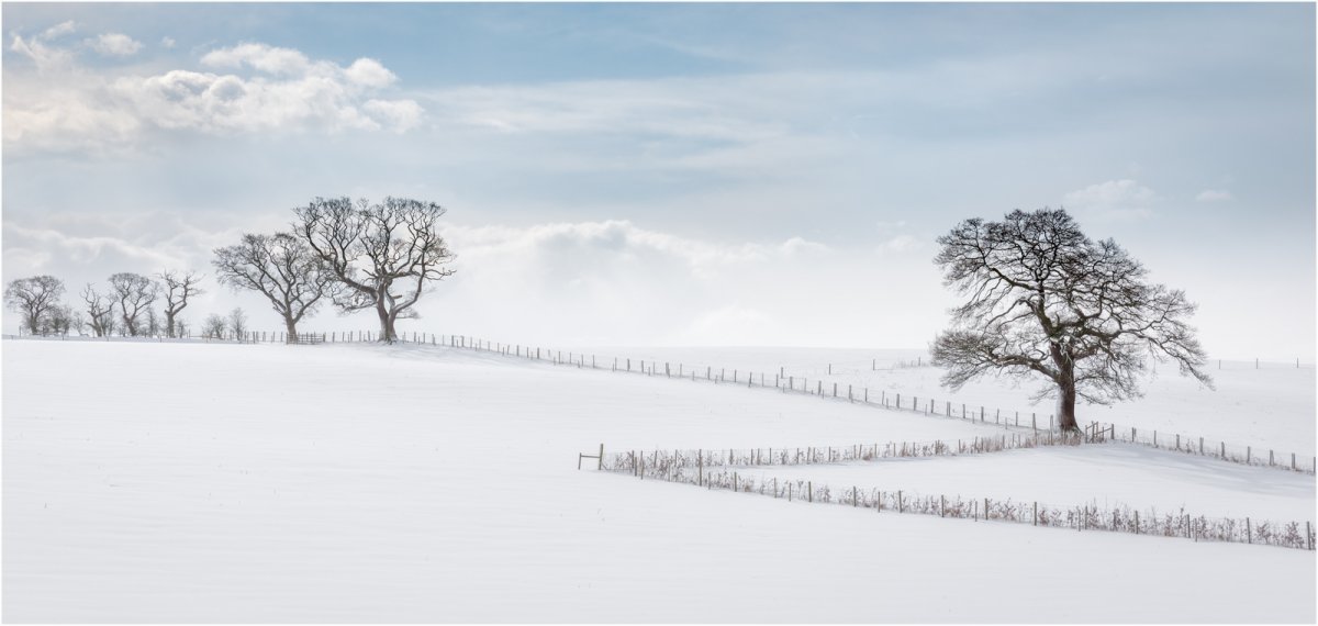 colour corrected_DSC5147-1.jpg