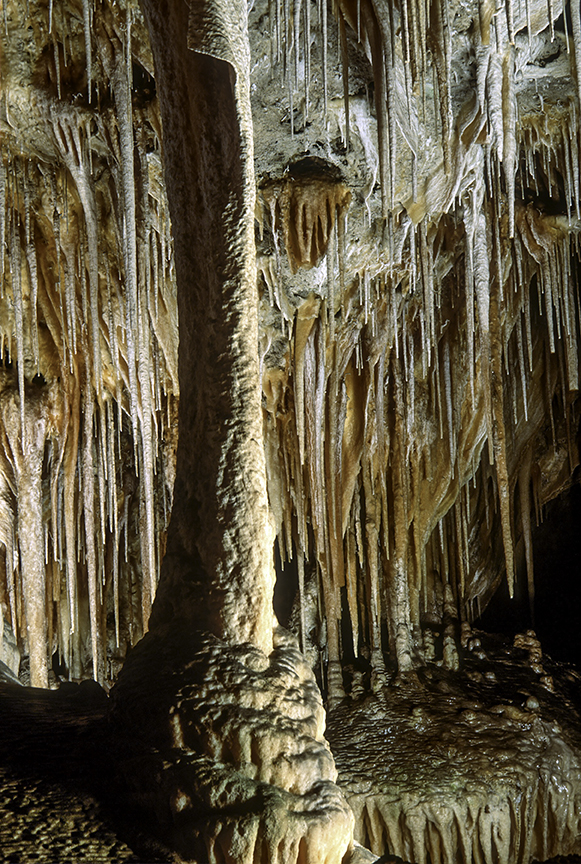 Column in Carlsbad Cavers National Park, NM.jpg