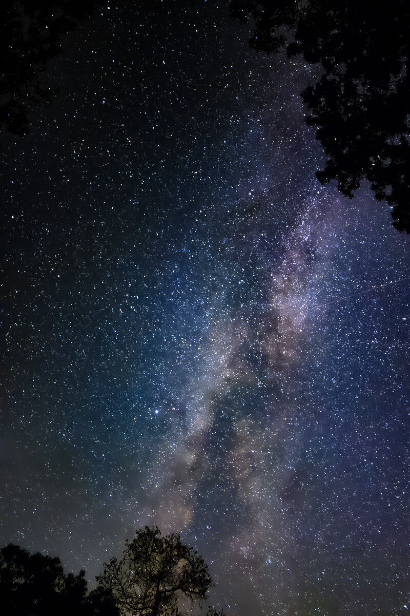 CometHunters_Brevard_milkyway_Edit.jpg