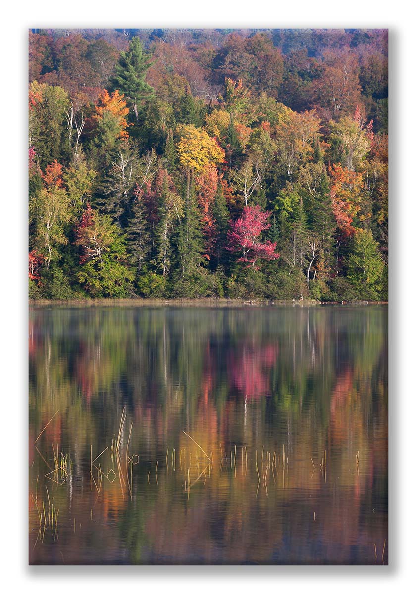 Connery Pond 17 1Ds3-83 Connery Nice Reflection on You Display.jpg