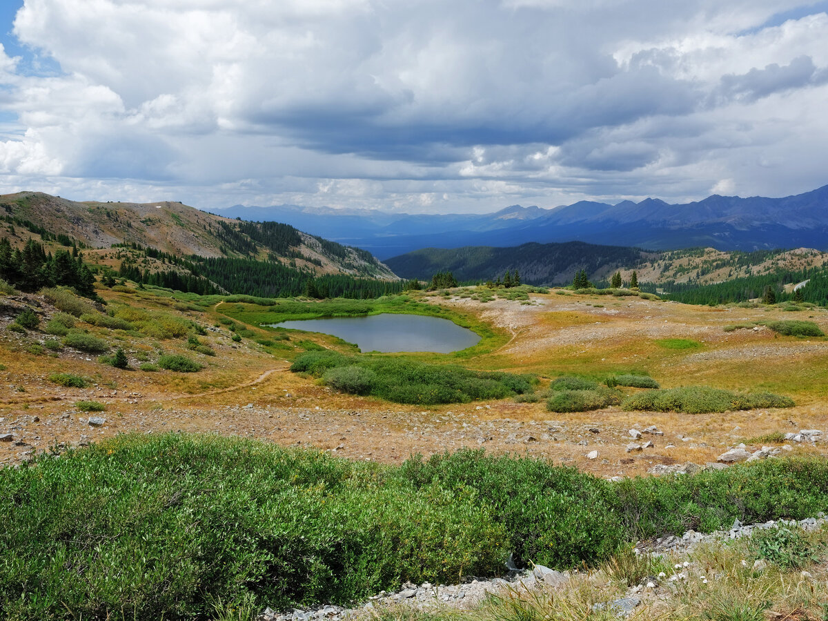 cottonwood Pass.jpg