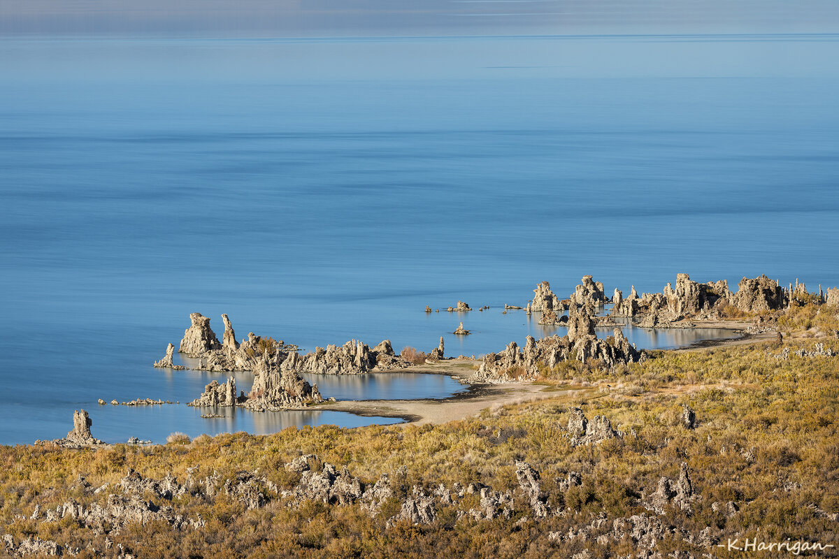 Coves complete-sharpened.jpg