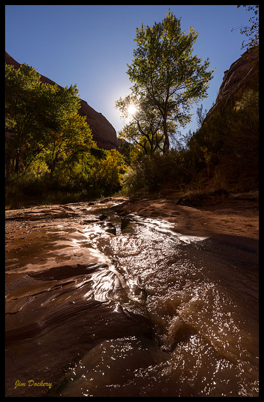 Coyote-Gulch_0446.jpg