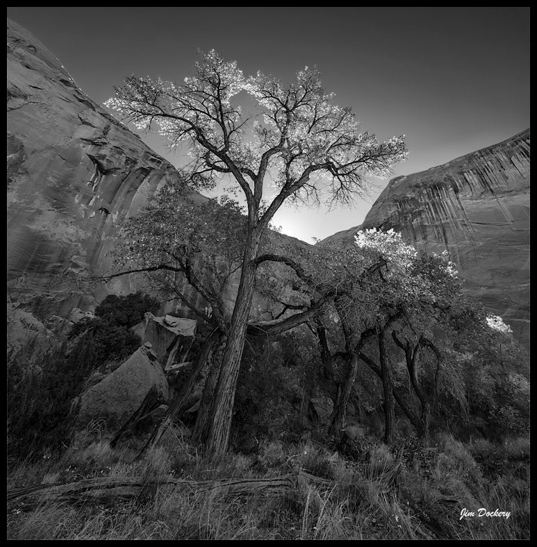 Coyote-Gulch_0473-Pano.jpg