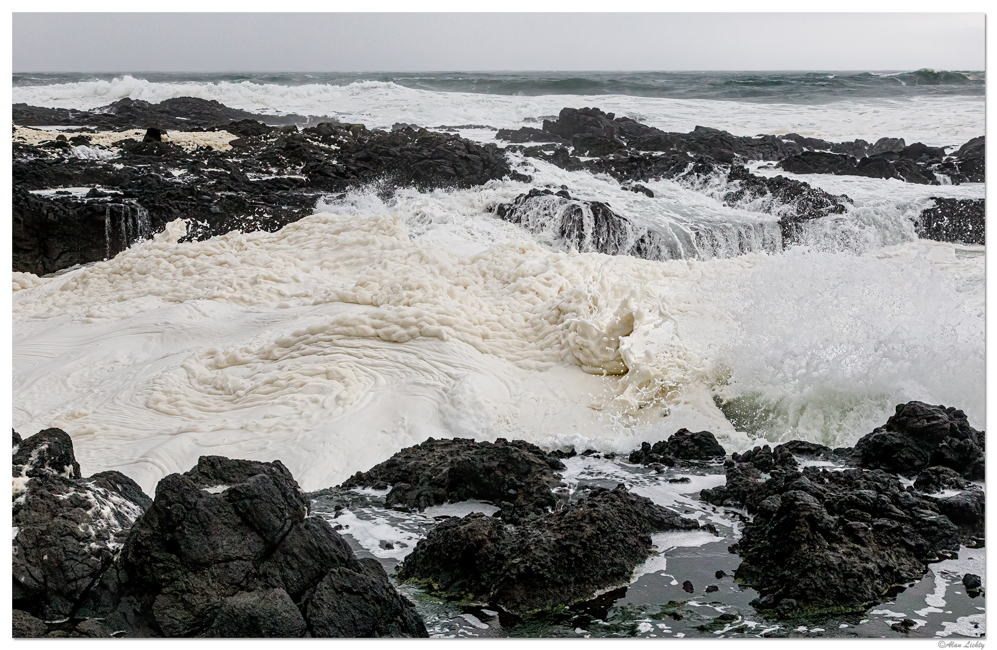 CP-SeaGorp2-a.jpg