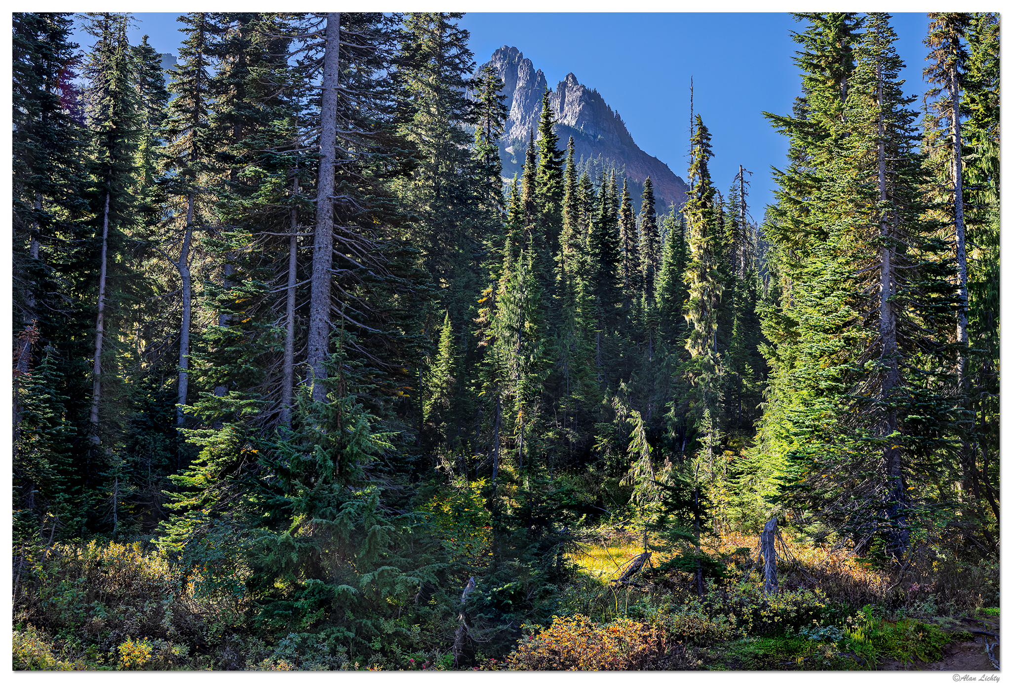 CR5m2_ForestTatoosh092525.jpg