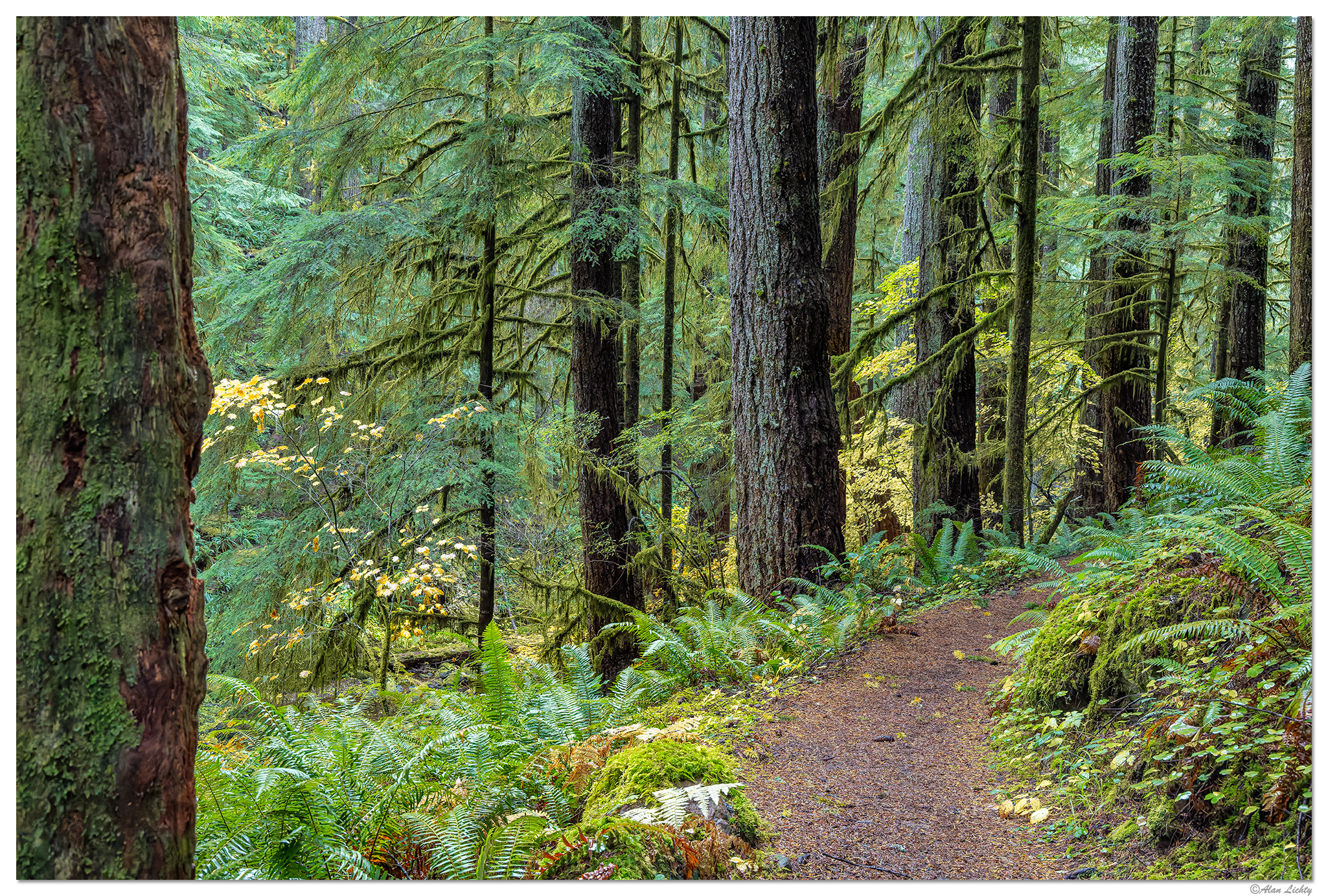 CR5m2_KFallsTrail1102725.jpg