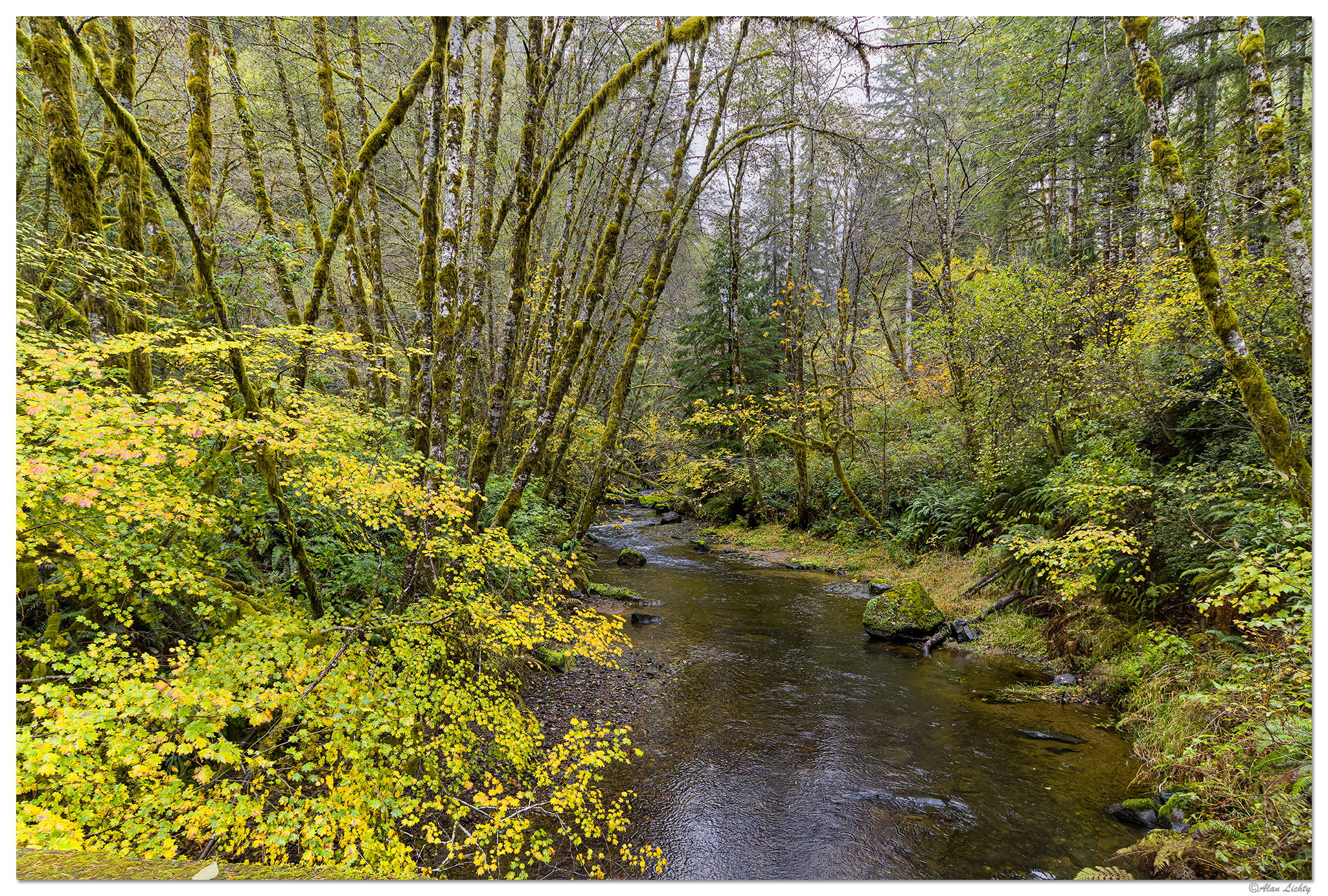 CR5m2_NForkRiver103024.jpg