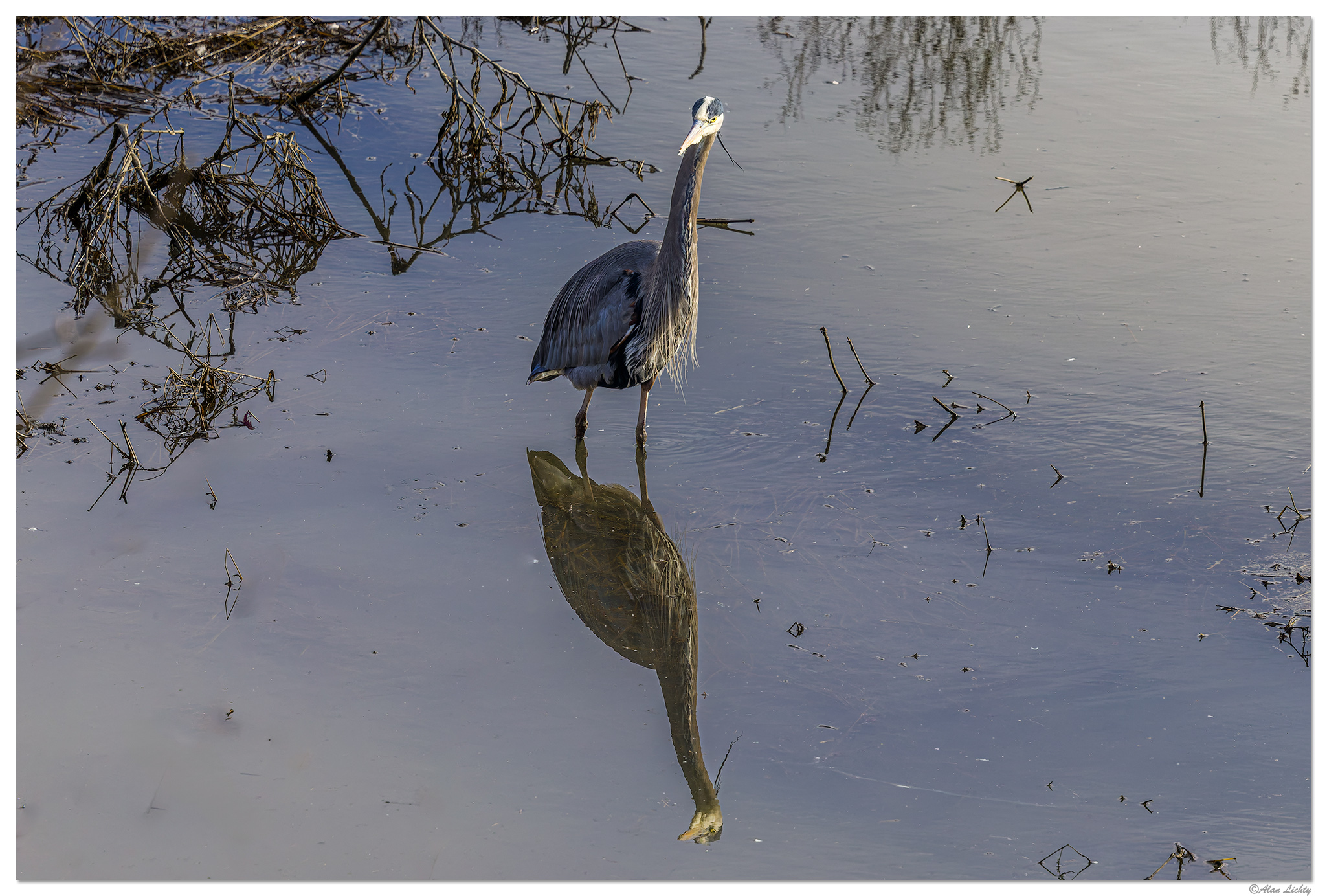CR5m2_SC-GBH010825.jpg