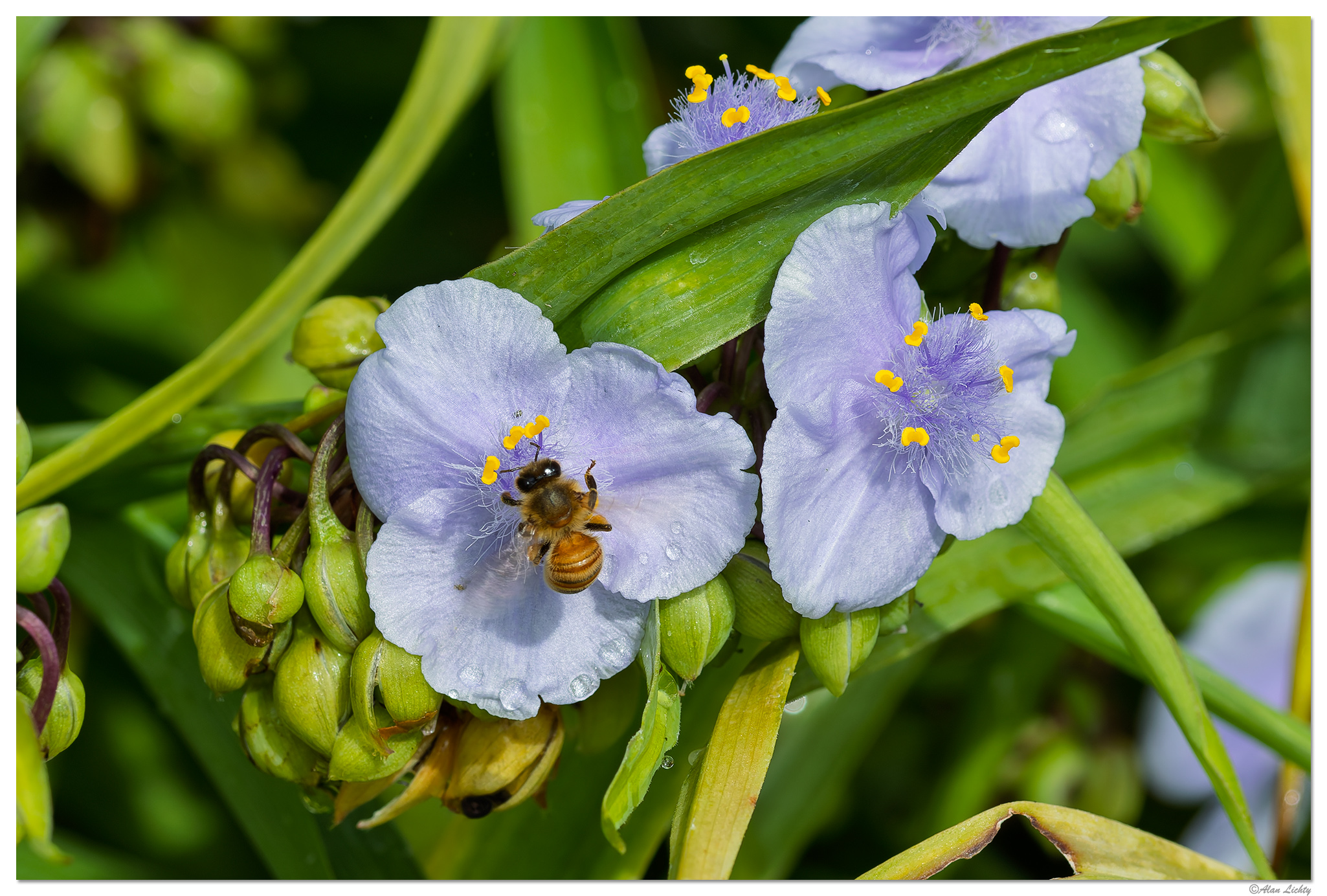 CR5m2_SW2Bee062626.jpg