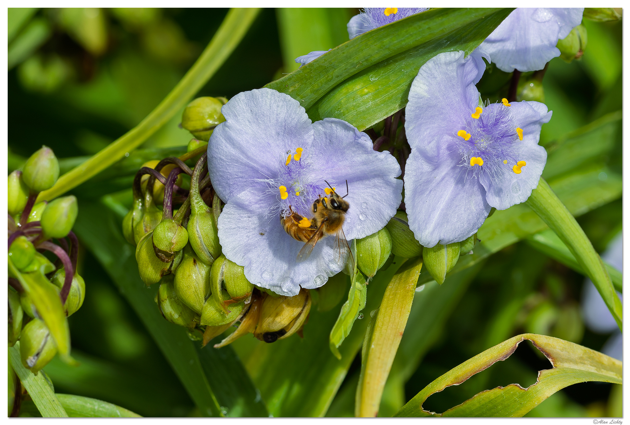 CR5m2_SW3Bee062626.jpg