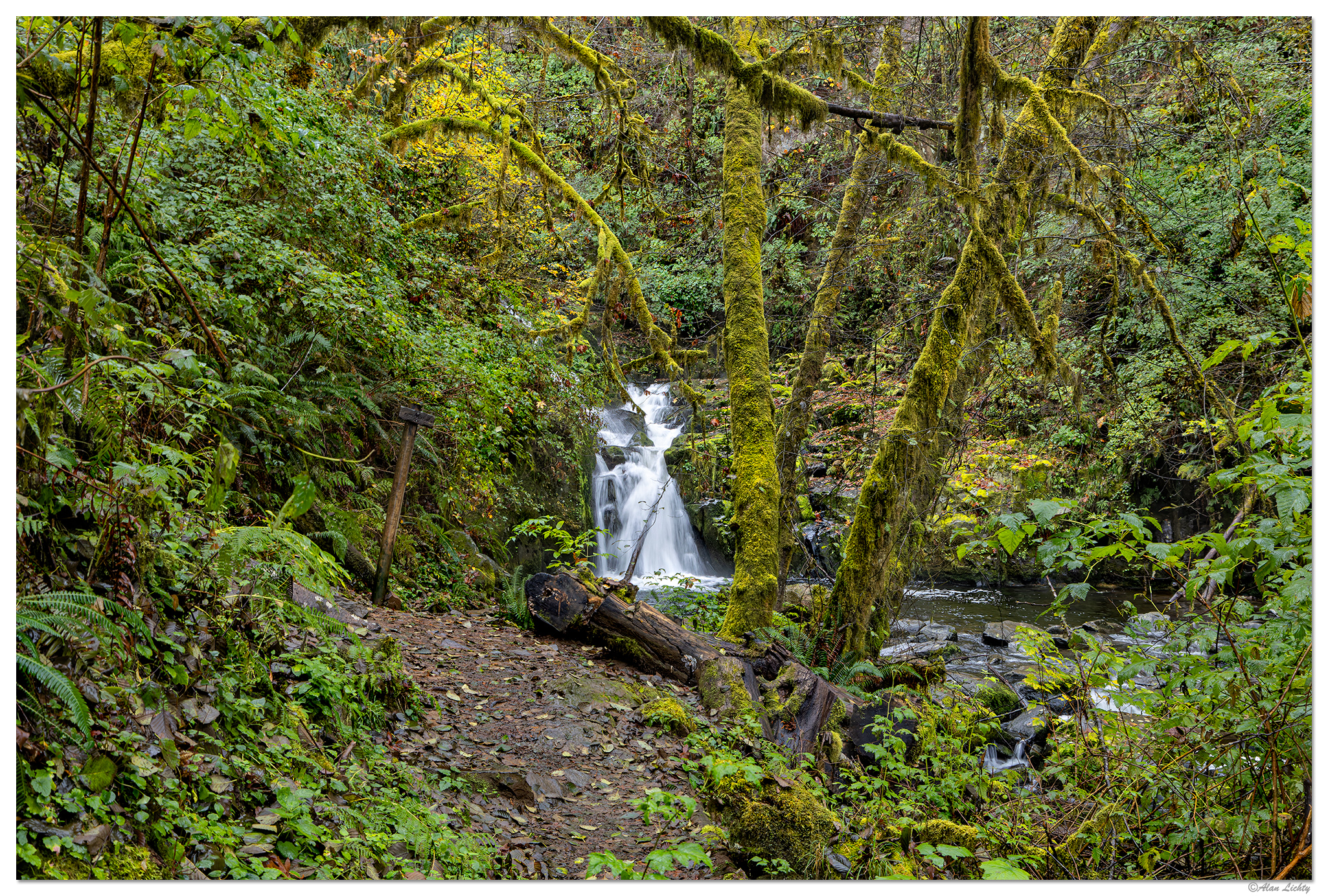 CR5m2_SweetCreekFalls103124.jpg