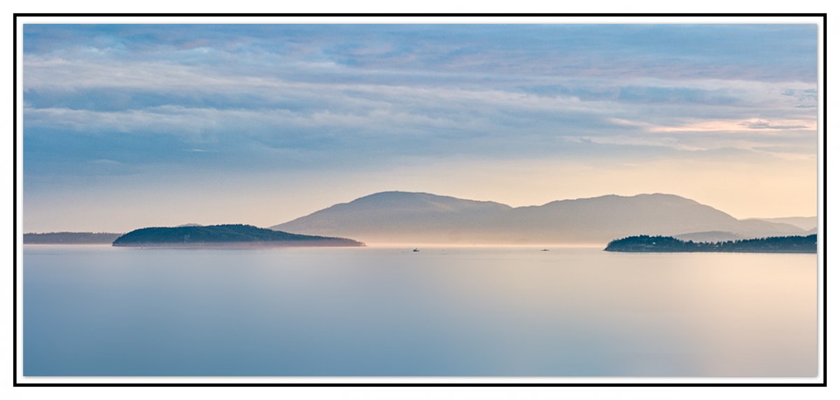 Chuckanut | Focal World