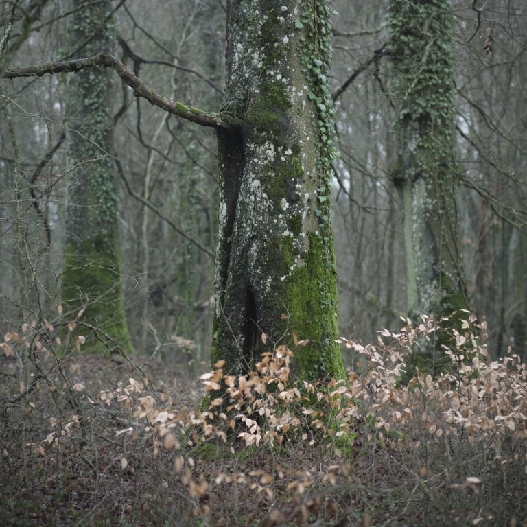 D20210101004 (Medium).jpg