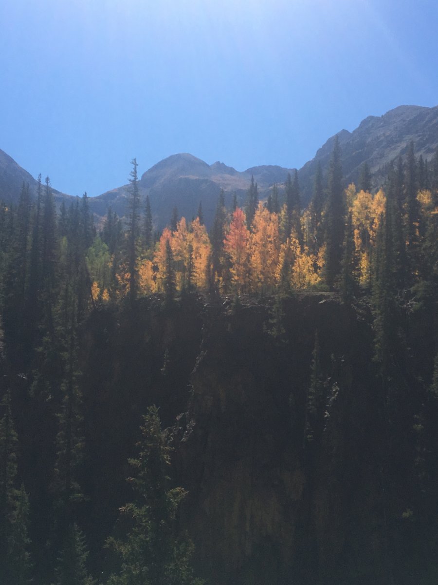 D2435B45-244E-48E6-B313-D5FB0AB1028B.jpeg