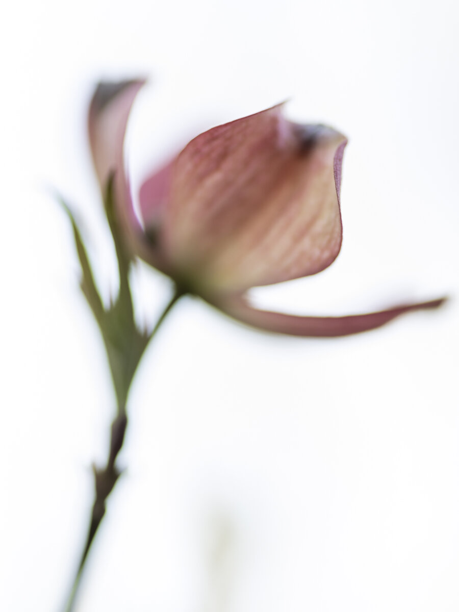 D5A14C64-192A-48DC-8E86-6D144706E3AB.jpeg