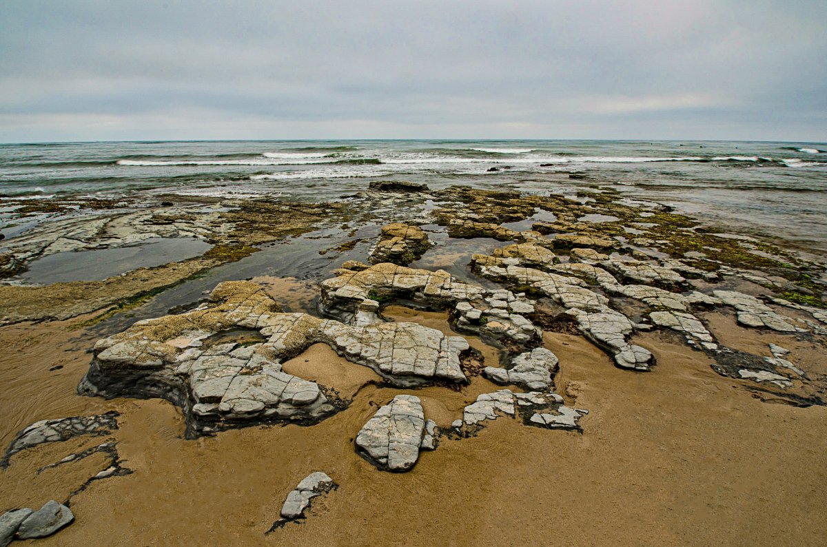 D7K4383.jpg