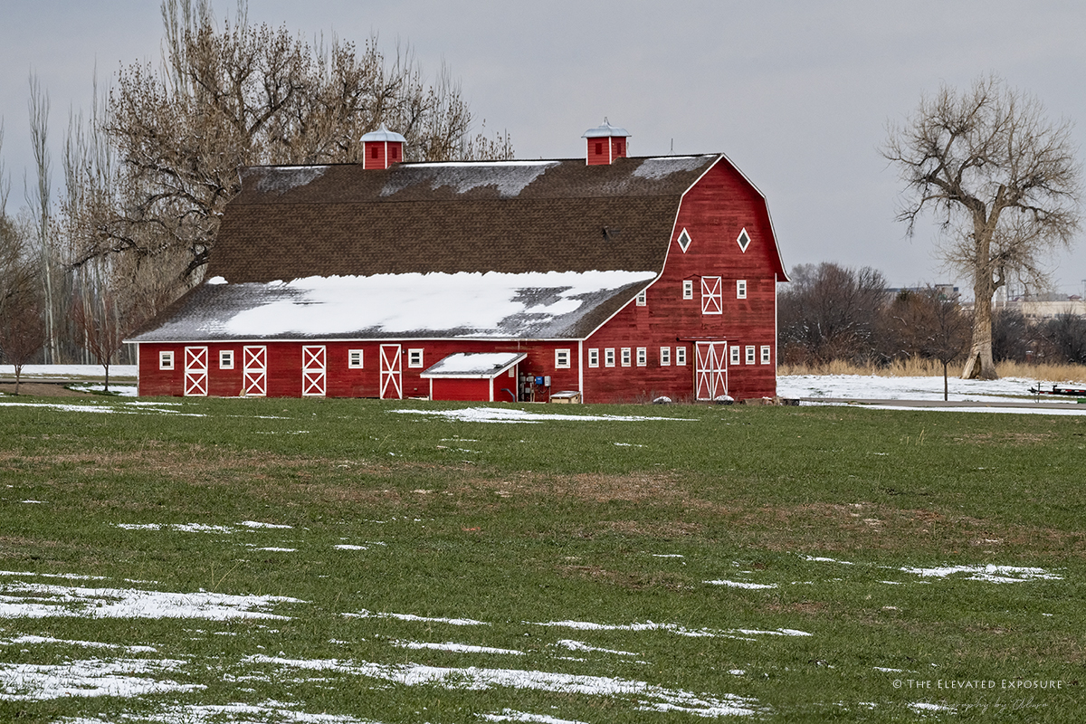 D85_0328.jpg