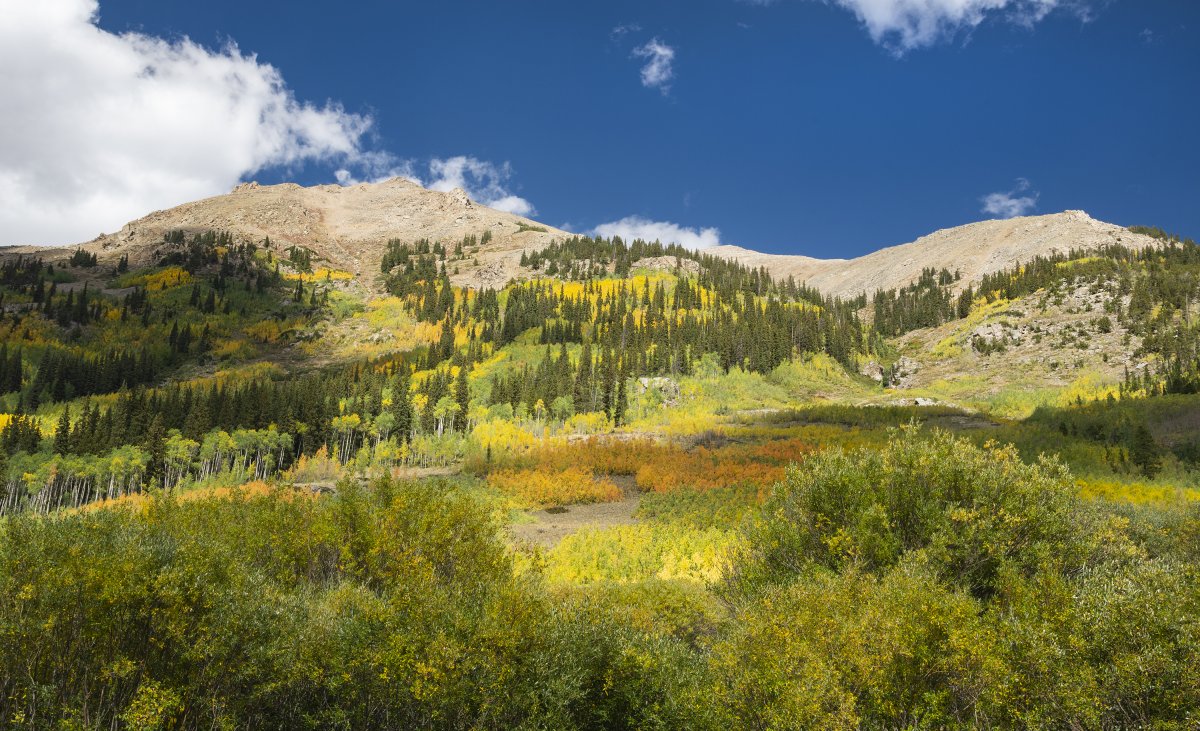 D85_1387.jpg