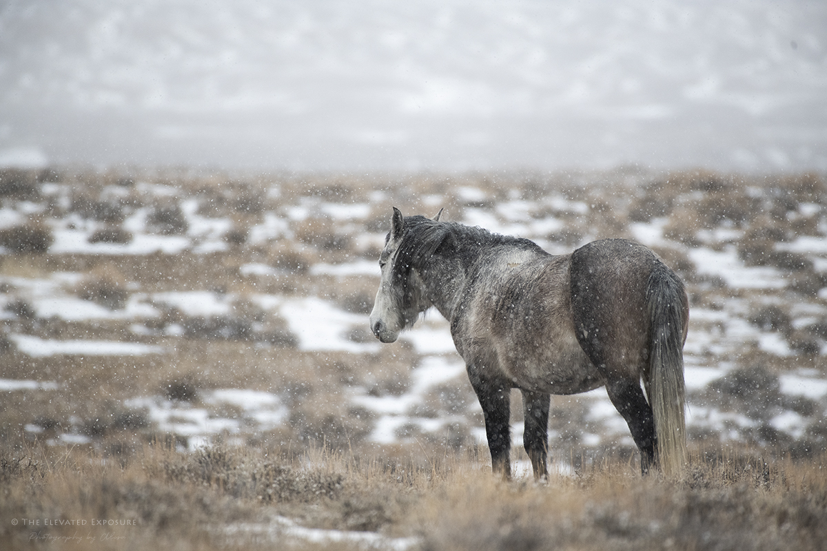 D85_2078.jpg