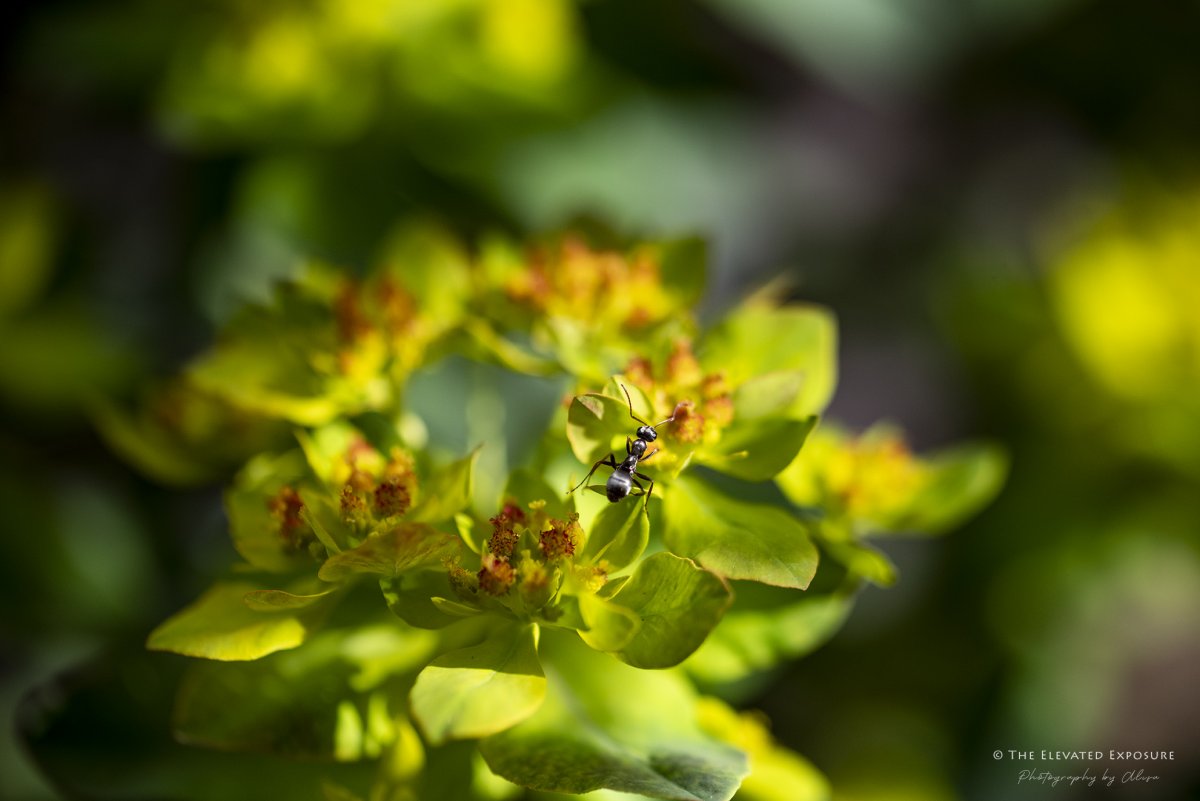 D85_2549.jpg