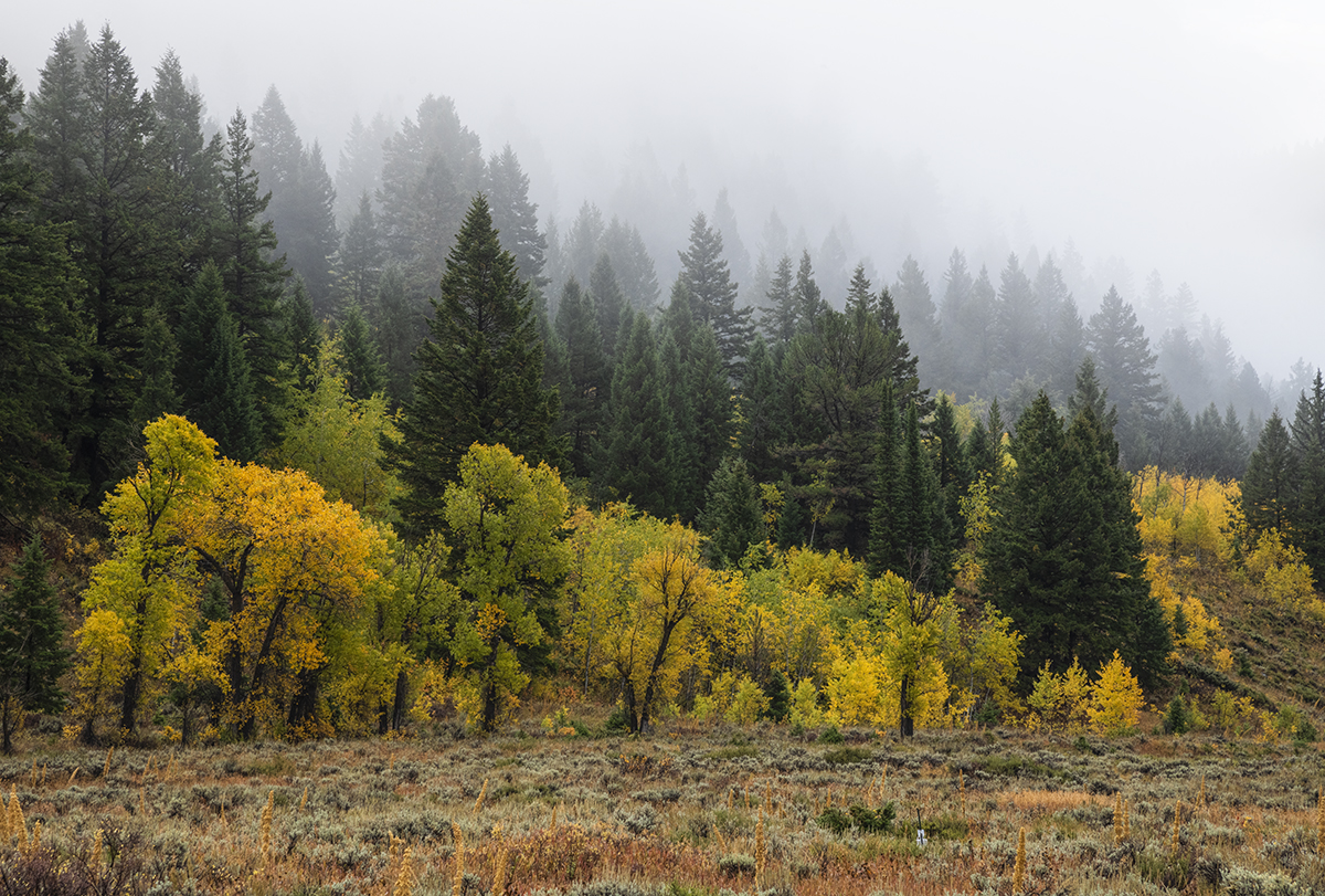 D85_3595-2.jpg