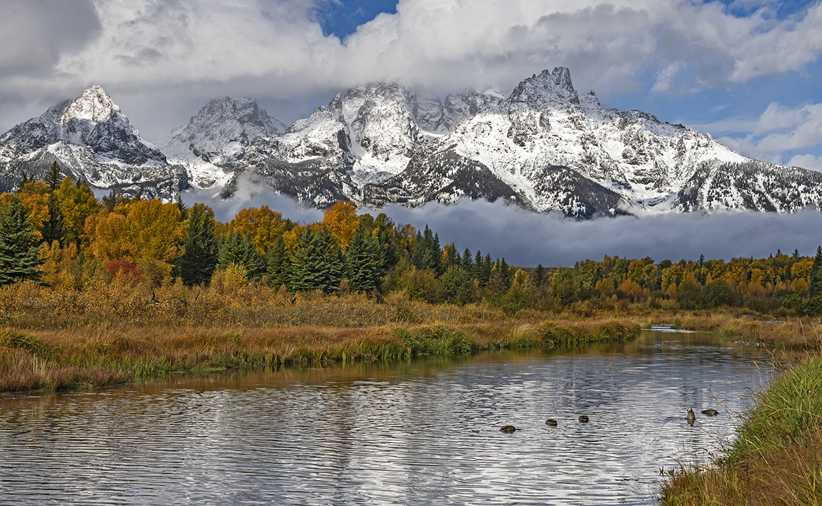 D85_3680.jpg
