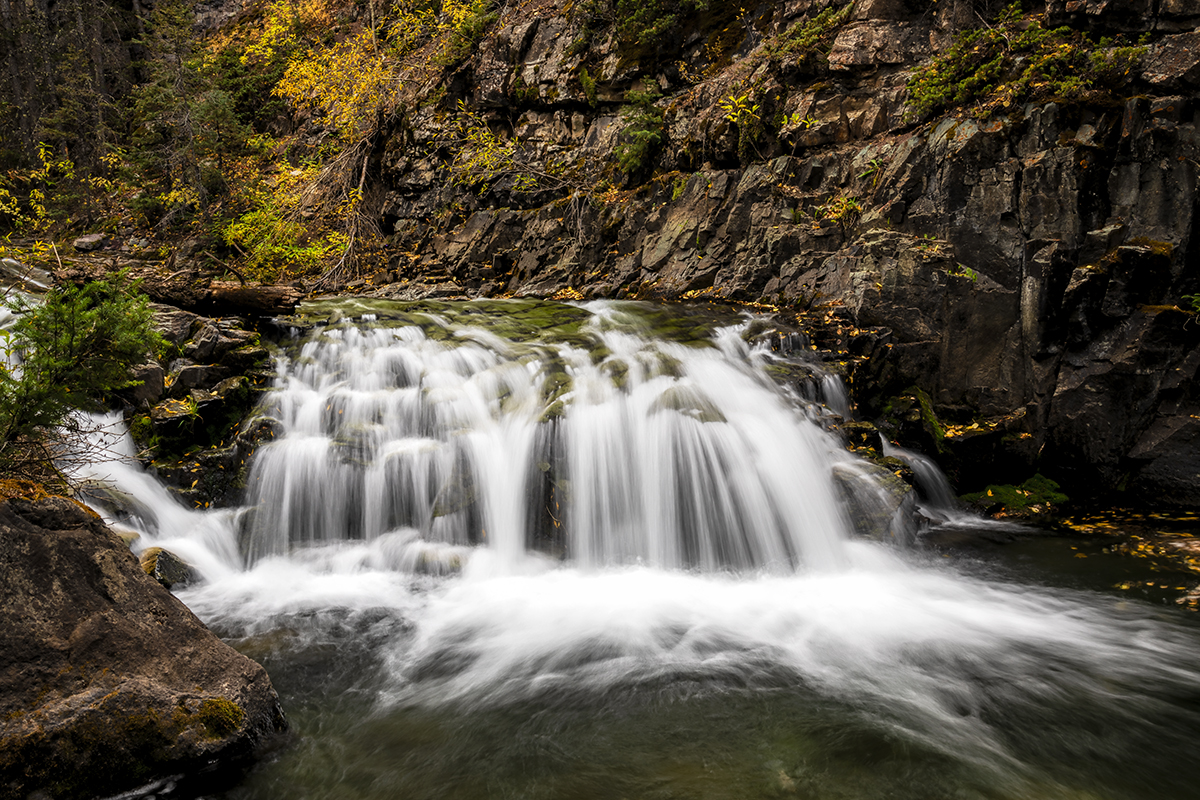D85_4928.jpg