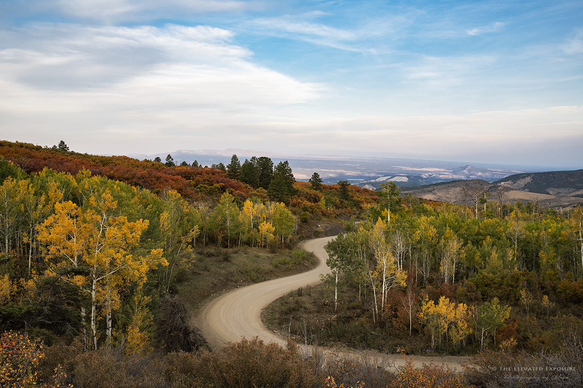 D85_5126.jpg