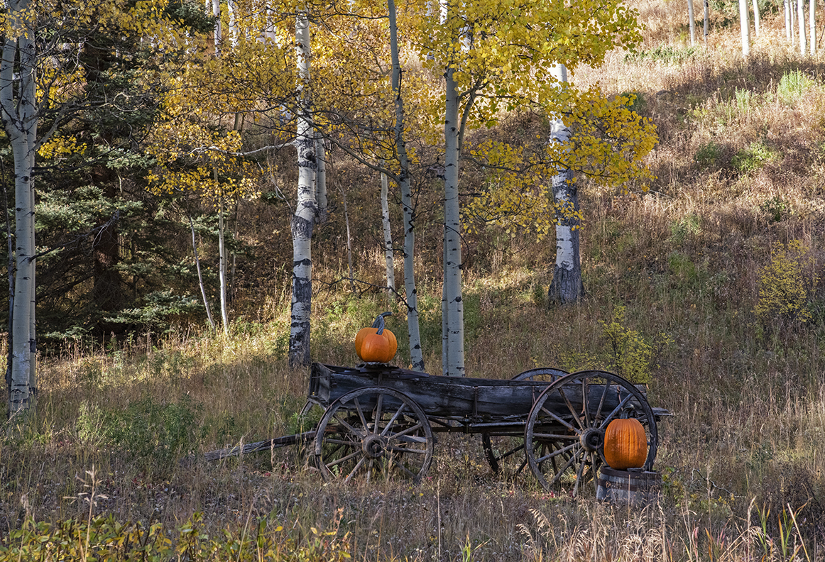 D85_5246.jpg